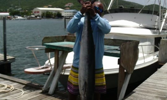 Cartas de pesca de St Maarten a bordo do Aqua Sport 270XF de 27 pés