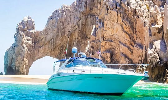 45' Sea Ray Yacht Package Deal in Cabo San Lucas, Baja California Sur