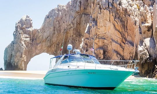 45' Sea Ray Yacht Package Deal in Cabo San Lucas, Baja California Sur