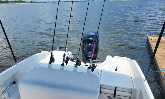 Dennis & Laura's Bayliner T18, Mercury 90hp for rent in conroe or Somerville
