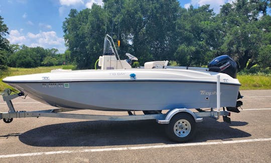 Dennis & Laura's Bayliner T18, Mercury 90hp for rent in conroe or Somerville