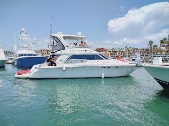 Sea Ray à louer à Cabo San Lucas - 19 personnes autorisées