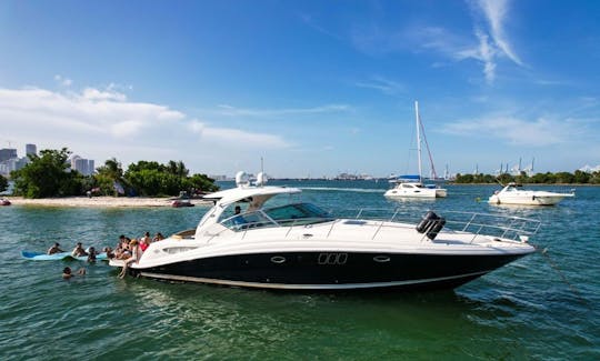 45' Sea Ray Motor Yacht Charter in Miami, Florida! THE BEST PRICE