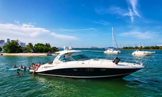 45' Sea Ray Motor Yacht Charter in Miami, Florida! THE BEST PRICE