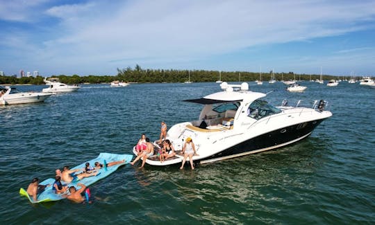 45' Sea Ray Motor Yacht Charter in Miami, Florida! THE BEST PRICE