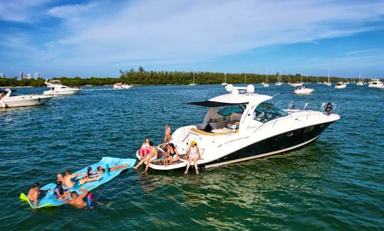 45' Sea Ray Motor Yacht Charter in Miami, Florida! THE BEST PRICE