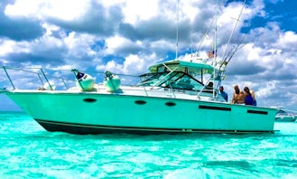 Tiara Yachts 31 Open for Charter!! Beach or Snorkeling Adventures!