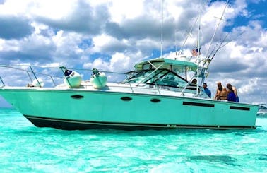 Tiara Yachts 31 Open for Charter!! Beach or Snorkeling Adventures!