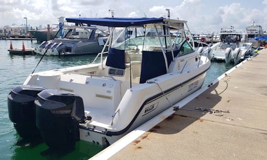 Boston Whaler Conquest 30 ft, Gas Included, for up to 10 people