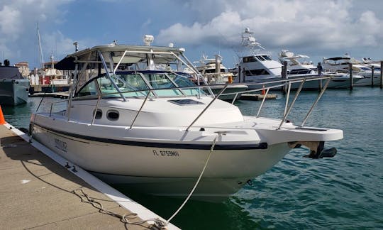 Boston Whaler Conquest 30 ft, Gas Included, for up to 10 people