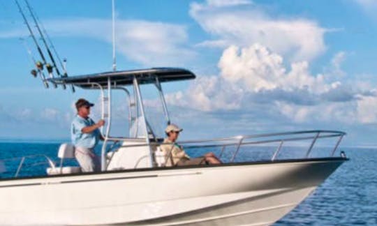 Private Cruise around Miami, FL with Boston Whaler Powerboat