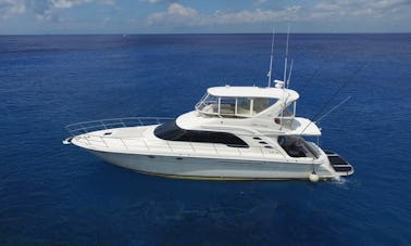 Sea Ray de 55 pies Sea Ray Cozumel, Quintana Roo