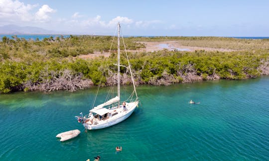 Voyage aboard our well maintained 36-foot sailboat.