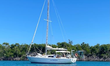 Historic / Educational Private Day Sail - South Coast of Puerto Rico