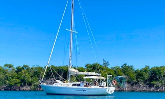 Historic / Educational Private Day Sail - South Coast of Puerto Rico