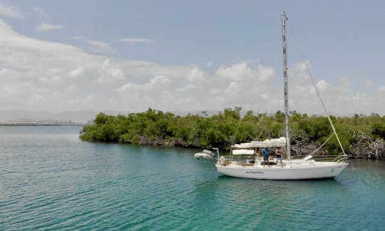 Private Sunset Sail - South Coast of Puerto Rico