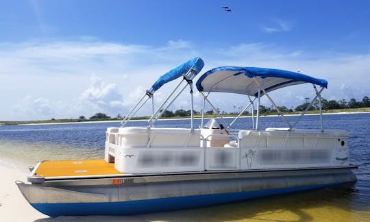 Bentley 24ft Pontoon Rental in Pensacola, Florida - Full Day Special