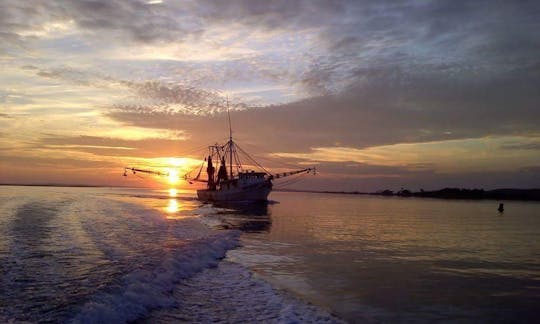 Charleston Area Island Excursions, Cruises, or Fishing w/ Captain Chris