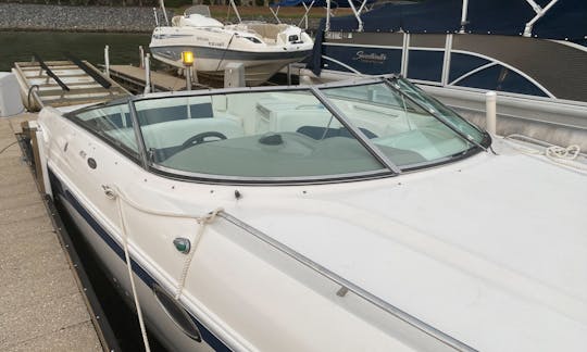 28' Chaparral for Cruising or Sandbar Charters on Lake Wylie, South Carolina