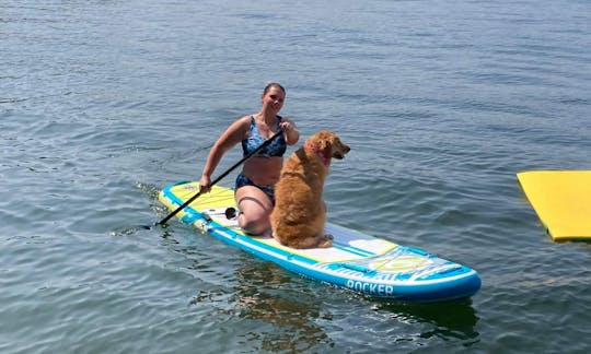 Prancha de stand up paddle iRocker de 11 pés para alugar em Green Bay