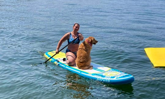 11' iRocker Stand Up Paddle Board for rent in Green Bay