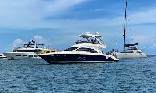 Celebrate in this Immaculate Yacht 52’ Searay Sedan Bridge in Beautiful Miami, Florida. 1 hr free on weekdays. (mon-thurs)