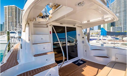 Amazing 45' Sea Ray Luxury, Motor Yacht In Miami, Florida!!