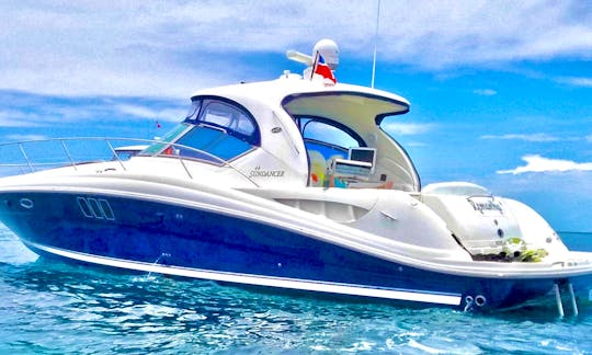 🤿Amazing Miami 🐬🏝Bay Ride on a 45ft Motor Yacht! The Best Party Sundancer (NO ADD FEES)