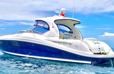 🤿Amazing Miami 🐬🏝Bay Ride on a 45ft Motor Yacht! The Best Party Sundancer