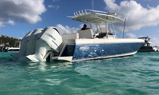 37ft Intrepid Power Boat for 12 people in St. Thomas