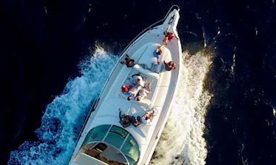 Sunseeker Predator 56 Luxury Yachting in Ixtapa Zihuatanejo, Guerrero