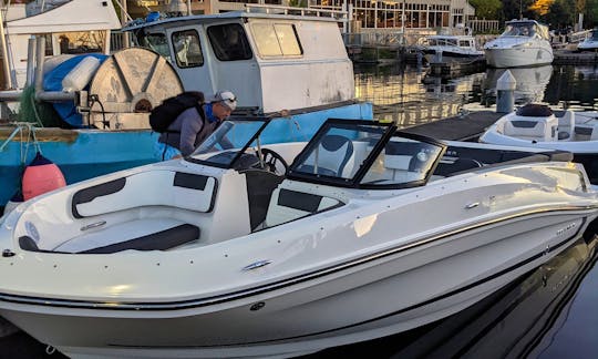 New Bayliner Perfect for Lake Union