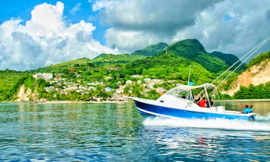 31ft Powerboat in Saint Lucia