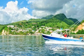 31ft Powerboat in Saint Lucia