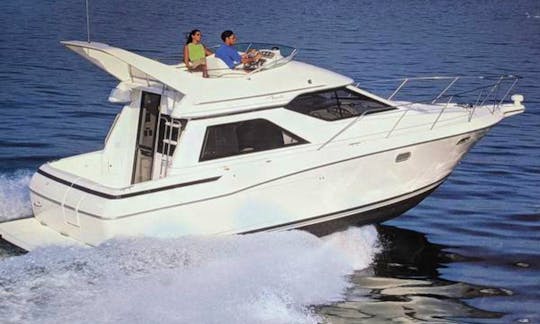 Luxury 35ft, 2 Bedroom One Bathroom Motor Yacht For Charter in Downtown Vancouver