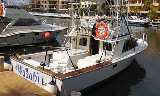 32' Blackfin - Puerto Aventuras Marina - Playa del Carmen