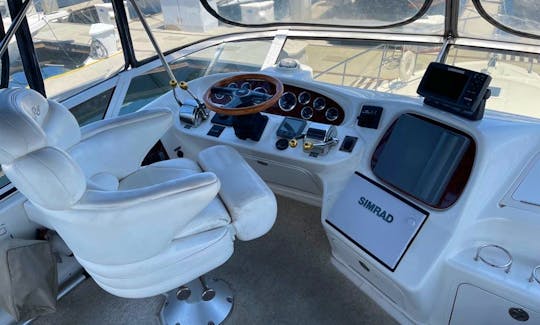 45FT SEA RAY AFT CABIN CRUISER YACHT 🛥 With Captain and Extras!!