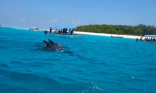 Dolphins and Snorkeling Trip on Mnemba Island