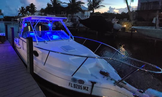 Miami Private Boat trip in a Walkaround cabin (1 HOUR FREE)