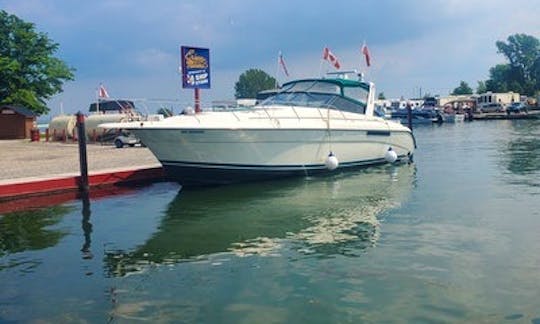 Beautiful Luxury Sea Ray 42ft Yacht Charter in Toronto