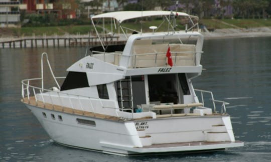 Falez Motoryacht - Rent Daily in Kemer, Antalya