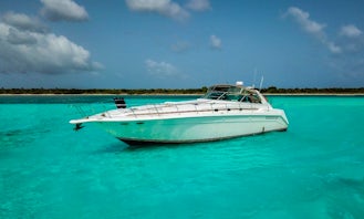 Sea Ray 53ft Luxury Yacht Adventure in Playa del Carmen