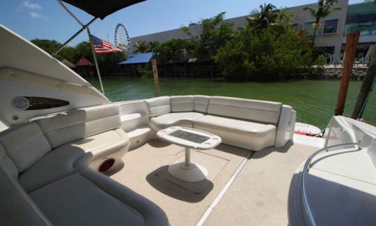 55 ft Sea Ray Power Yacht Charter in Cancún, Quintana Roo