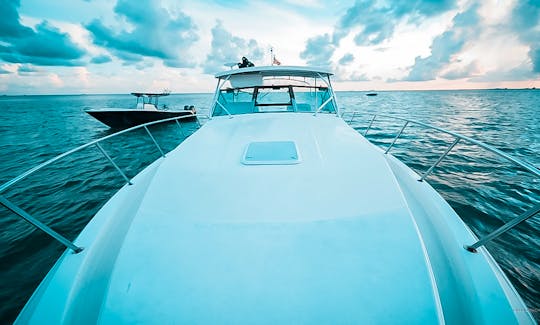 Wellcraft 39ft Cruiser for Sand Bar and Intercoastal Trips up to 12 people in Miami