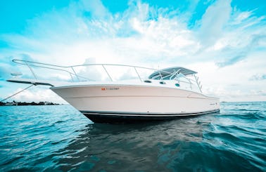 Wellcraft 39ft Cruiser for Sand Bar and Intercoastal Trips up to 12 people in Miami