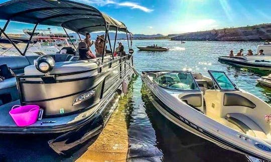 Lake Havasu: Luxury Pontoon for charter
