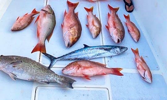 Gag Grouper and Mutton Snapper