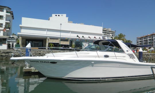 Lovely SeaRay 36 private boat in Puerto Vallarta, Mexico