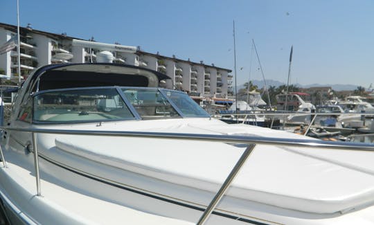 Lovely SeaRay 36 private boat in Puerto Vallarta, Mexico