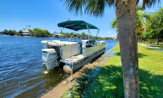 pontoon great for Island Hoping, Dolphin watching, Sunsets and more 10
